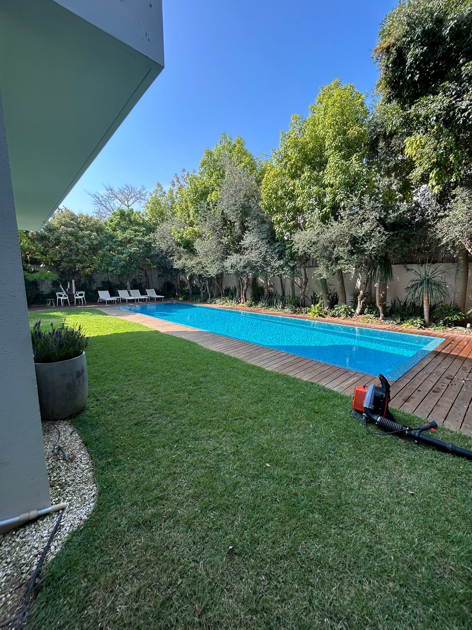 גינה פרטית עם בריכה