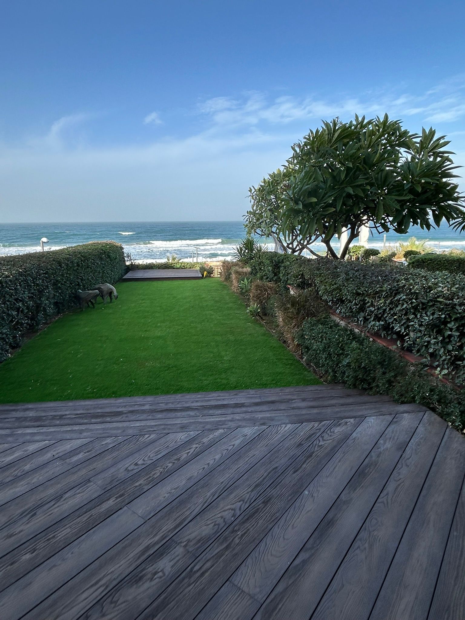 גינה עם נוף לים