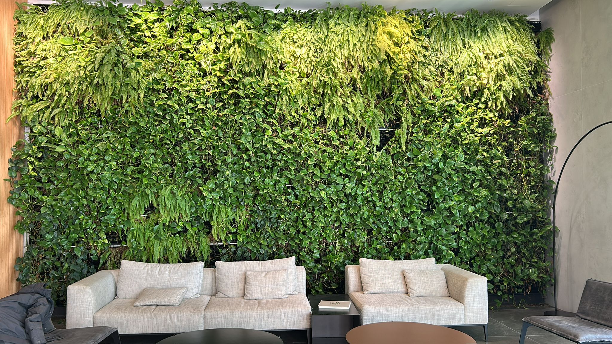 קיר ירוק במרפסת