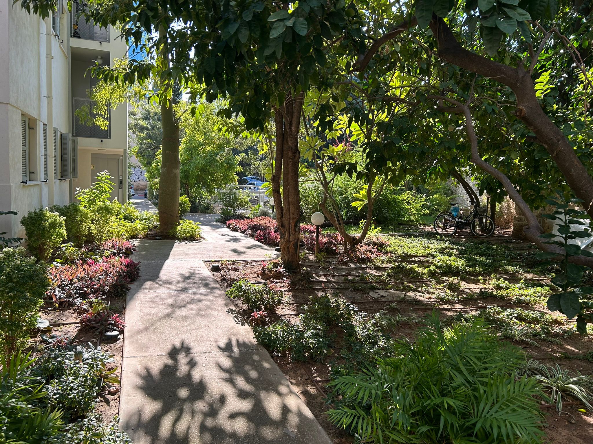 גינת נוי בבניין