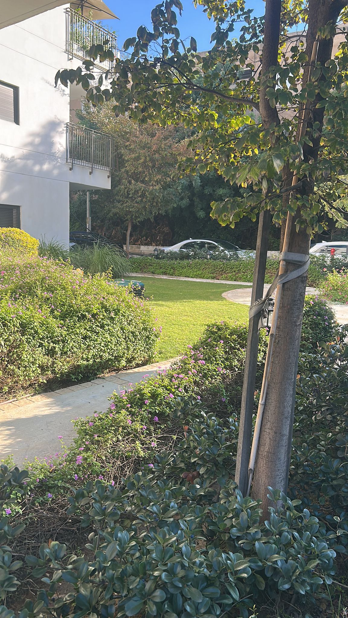 גינון ושטחים ירוקים